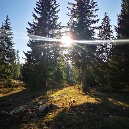 Snowhite 샬레 자호리나