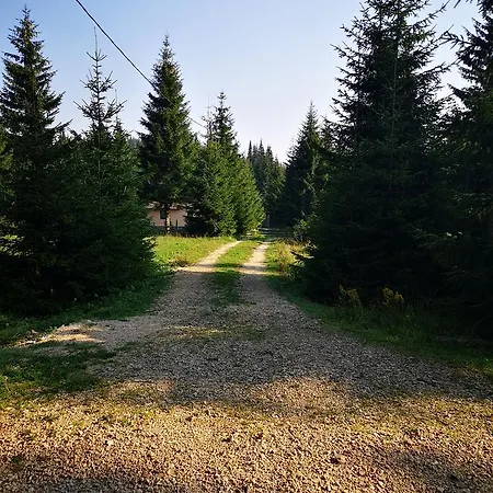 Snowhite * Jahorina