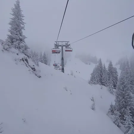Snowhite Chalet *