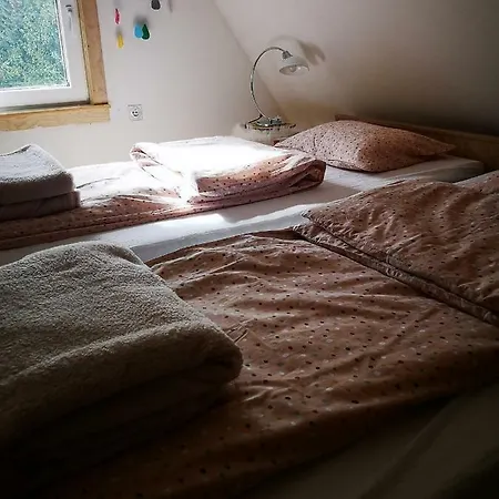 Snowhite 샬레 자호리나